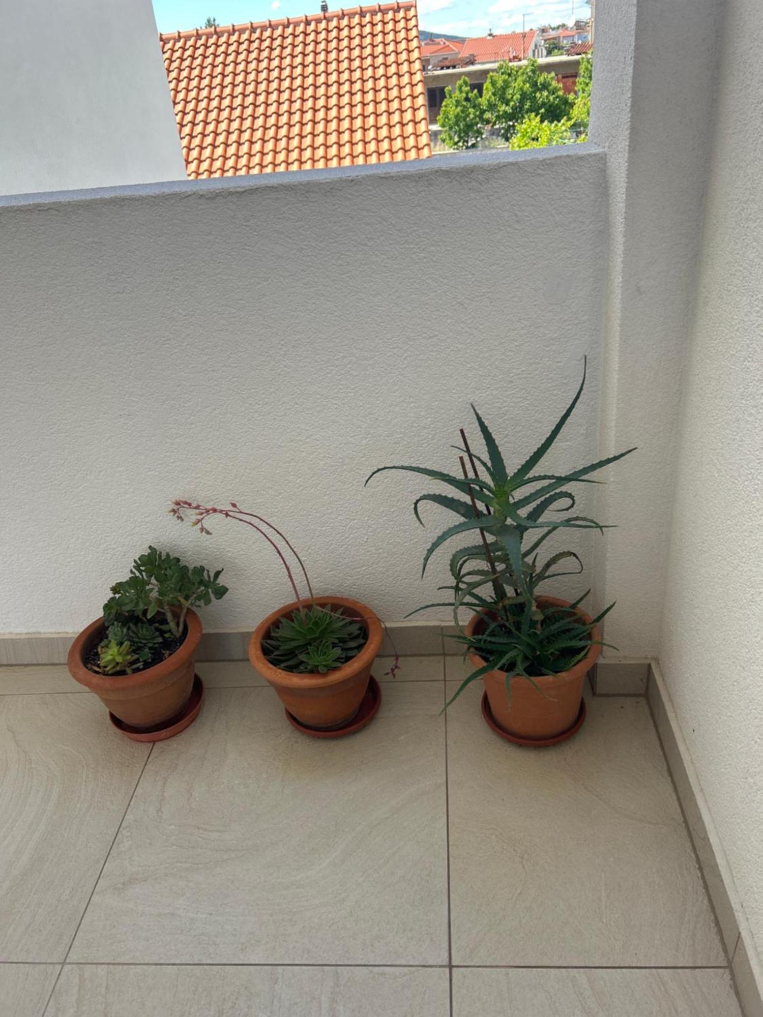 Apartments Purkovic Vodice Exterior foto
